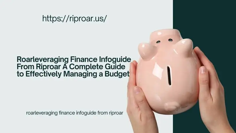 roarleveraging finance infoguide from riproar